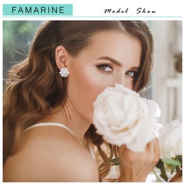 FAMARINE CZ Silver Clip on Earrings for Women Snowflake Diamond Clip Earrings Non-pierced Earrings Small Clip on Earrings