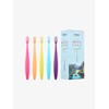 5 Ergo Adult Toothbrushes-Original Original Urbane Compact / 에르고 성인