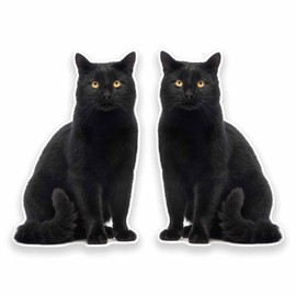 2 x 10cm Black Cat Vinyl Sticker Decal Laptop Tablet Fridge Animal Kitten #9641 (6.5cm Wide x 10cm Tall)