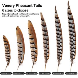 MehelloFeather Natural Pheasant Feathers 5Pcs Pheasant Tail Feather 6-8Inch for Crafts Home Decoration Wedding Performance Party DIY Clothes Decoration
