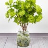 FANTIAN 20 lbs Jade Rocks for Landscaping, 1-2 Inch Decorative