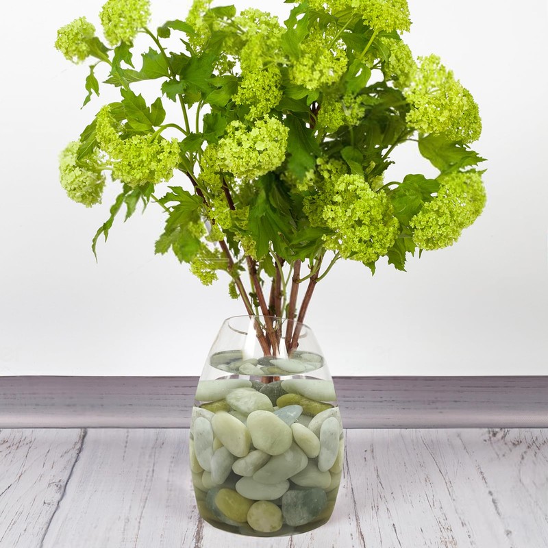 FANTIAN 20 lbs Jade Rocks for Landscaping, 1-2 Inch Decorative