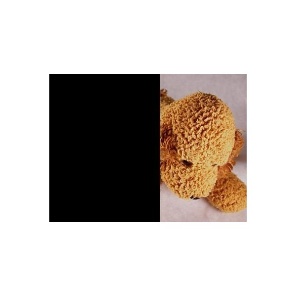 Black Out Total Privacy Window Film 30" Wide x 10