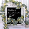 kalynmart Eucalyptus Leaves Greenery Garland with 20 Warm White Led