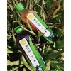 ALO Aloe Vera Juice Drink | BLUE - Aloe Vera