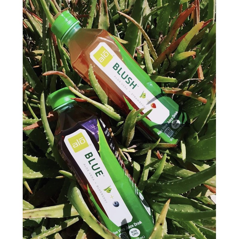 ALO Aloe Vera Juice Drink | BLUE - Aloe Vera