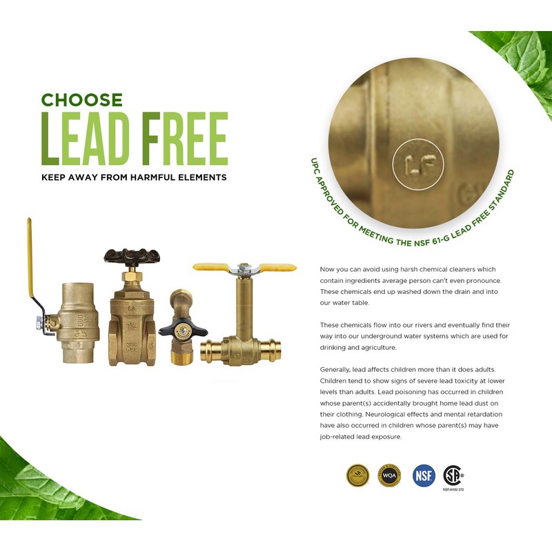 Everflow Supplies BRCPF200-NL 2" Lead-Free Adapter Fitting with a Brass