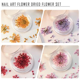 DIFLAX 4 Stück Nail Art Flowers Set, Trockenblumen, Nageldesign Zubehör, Nagel Dekorationen, Nail Decoration, Gelnägel Zubehör, Getrocknete Blüten für DIY Nagelkunst Make up (Rosa, Lila, Orange, Rot)