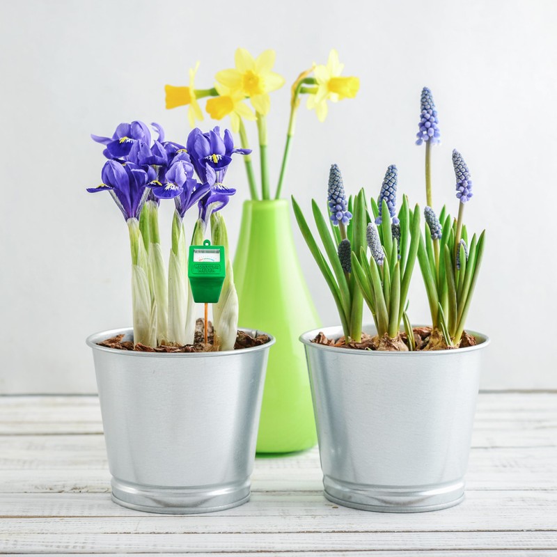 Simply Conserve AM Conservation Group Green Indoor & Outdoor Soil