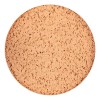 L'oréal Paris True Match Lumi Cushion Foundation