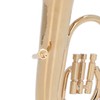 HEEPDD Mini Tuba Model, Miniature Tuba Model Brass Gold Plated
