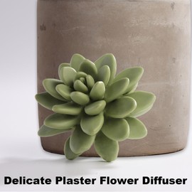 Reed Diffuser Set, Pretty Valley Home Succulent Gypsum Ceramic Fragrance Diffuser Vase Set - 3.38 fl oz (100 ml), Home Fragrance Reed Diffuser (Citrus Verbena)