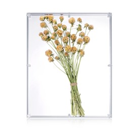 MarccTipton 16x20 Acrylic Shadow Box, Assemble Display Case, DIY Tabletop/Wall Mount Display Frame, All Clear Memory Box for Dried Flowers/Kids Room/Birthday/Wedding(16x20x2 .5”, Assemble Frame)