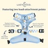 Lucy & Co. The Simply Splendid No-Pull Dog Harness -