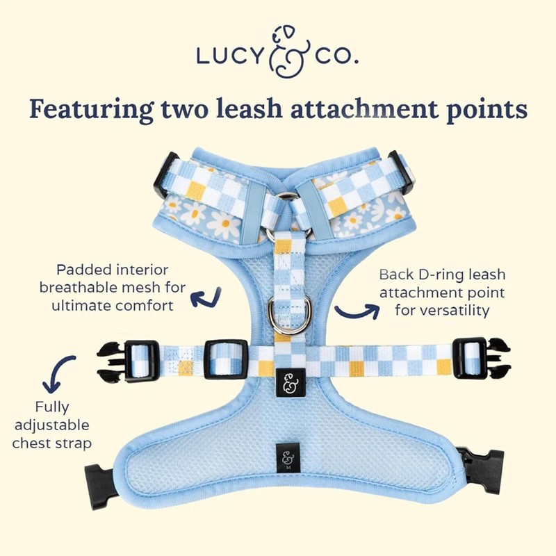 Lucy & Co. The Simply Splendid No-Pull Dog Harness -