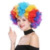 WIG ME UP - PW0011 Afro Wig Afro 70s Rainbow