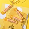 Burt's Bees Lip Balm - Original Beeswax 12 Count Pack