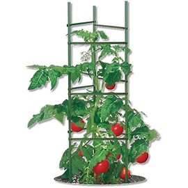 Ultomato Tomato Plant Cage 6-pack