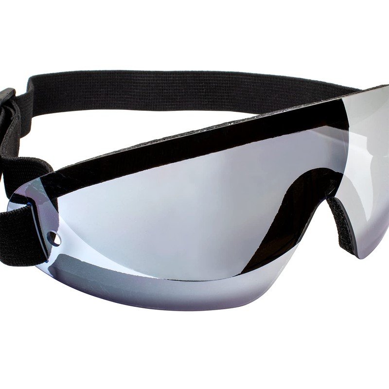 Birdz Eyewear Wing Sports Goggles w/Padded Frame Blue Lenses Great