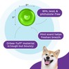Outward Hound Outward Hound by Planet Dog Snoop Durable Interactive
