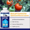 Bloom City Professional pH Up Liquid Fertilizer, 1/2 Pint (8