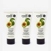 Beauty Codi Avocado Lotion nourishing and rejuvenating Hand & Body