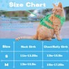 Pawfun Fully Escape Proof Cat Harness and Leash Set for