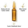 Ampolletas Capilares Phillip Martins Restaurador Anticaída 12x7ml Tratamiento Profesional Cabello