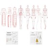 EXTCCT Fashion Drawing Template Ruler Set, Woman Sewing Humanoid Patterns
