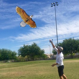 Mint's Colorful Life Eagle Kite for Kids Adults with 60" Wingspan