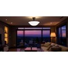 Aspen Creative 25002-65-1 Replacement Alabaster Glass shade for Flush Mount