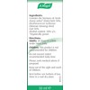 A.Vogel Ginsavena Drops | Herbal Food Supplement | Extract of