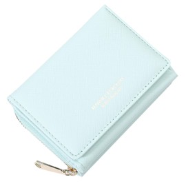 HAIWILL Mini Purse Women's Leather Small Purse Women's Large Capacity Purse Women's Small Purse Women's Purses Many Compartments Large, X Green, Classic