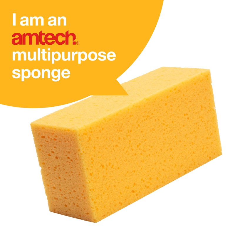 Amtech Multipurpose Sponge