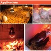 Fengrun Infrared Heating Lamp Clear Hard Explosion-Proof Glass UV Coating