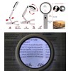 Illuminated 8 LED Magnifying Glass with 8x and 5x Magnification