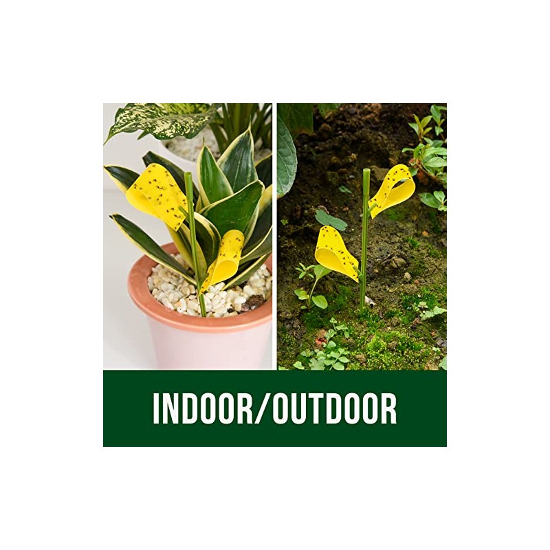 Garsum 21 Sticky Traps for Indoor Plants - Catch Gnat