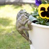 Darthome Set Of 2 Frog Pot Hangers 7x14x6cm Resin Green