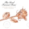 Forever Rose Real Rose Gold Rose, Genuine One of a