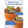 Orchid Nerd Galvanized Rhizome Clip for Clay Pot 4 inch