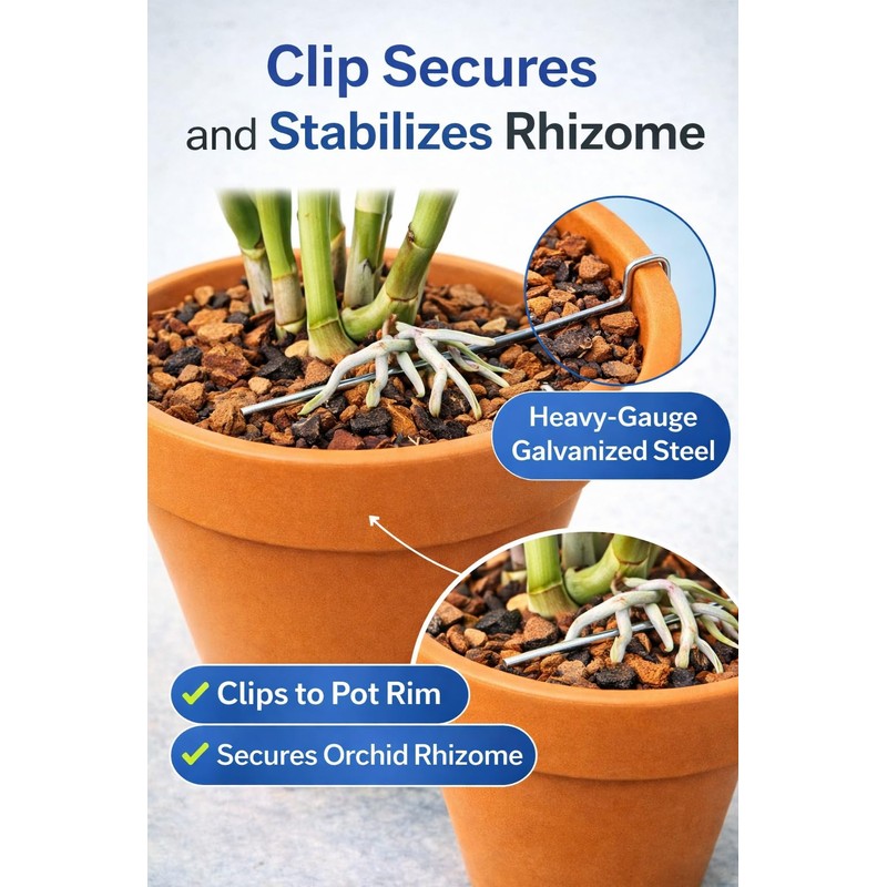 Orchid Nerd Galvanized Rhizome Clip for Clay Pot 4 inch
