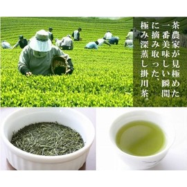 2024 New Tea Deep Steamed Kakegawa Tea (Shizuoka Tea), Tenjo (Tenjo), 3.5 oz (100 g), Produced in Kakegawa, Shizuoka Prefecture