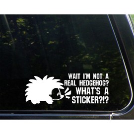 Wait I'm Not A Real Hedgehog? What's A Sticker?- 8-3/4"x 3" - Vinyl Die Cut Decal/Bumper Sticker for Windows, Cars, Trucks, Laptops, Etc...