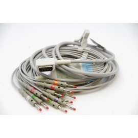 GENERIC KENZ 10 Lead ECG/EKG Cable AHA Banana 4.0mm for Cardico 108 110 1210 1211