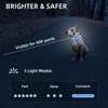 PetIsay Light up Dog Collar - High Visibility & Durable