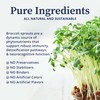 BioPure Broccoli Sprout Supplement – Phytonutrient-Rich Powerhouse Loaded with Bioactive