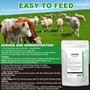 BiKontrun Soluble Drench Powder, Dewormer for Cattle and Sheep, 3.5