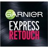 Garnier Hair Color Express Retouch Gray Hair Concealer, Instant Gray
