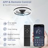 LEDIARY 20" Modern Ceiling Fans with Lights and Remote, Dimmable