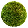 SuperMoss (21657) Moss Ball, Fresh Green, 6"